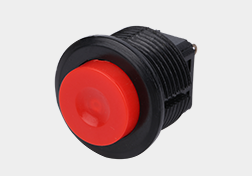 Push switch