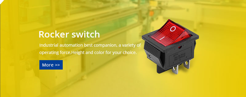 Rocker switch