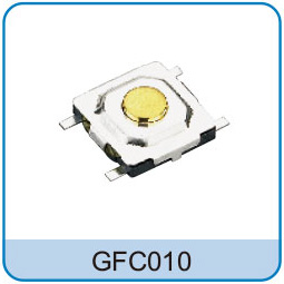 GFC010