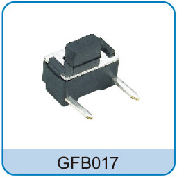GFB017