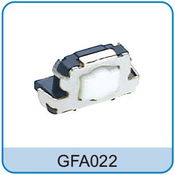 GFA022
