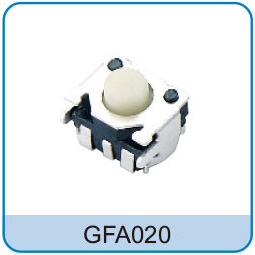 GFA020