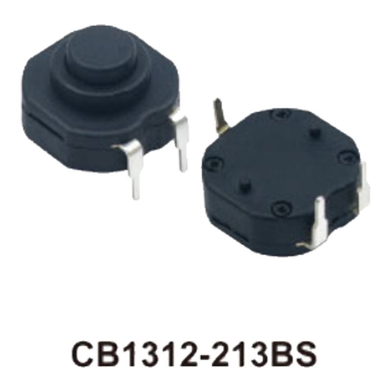 CB1312-213BS